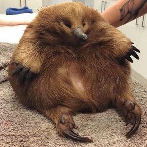 Meet your Posher, Cory